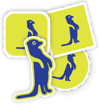 Custom Stickers